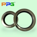 Phớt inok PTFE